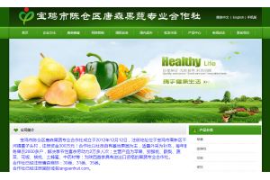 寶雞市陳倉(cāng)區(qū)唐森果蔬專(zhuān)業(yè)合作社